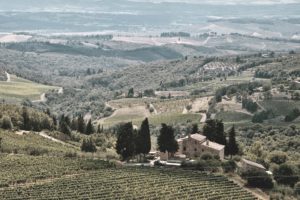 Linguini Napa Valley Winery